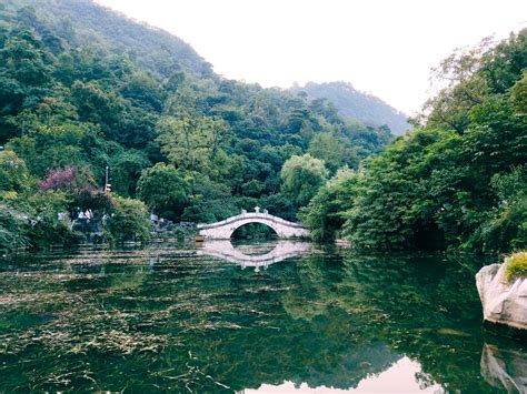 郴州桂陽有哪些景點？賞花與古蹟並重